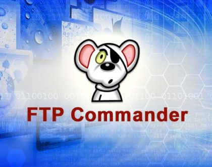 How to Recover Saved Passwords in FTP Commander
