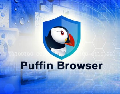 How to Recover Saved Passwords in Puffin Browser