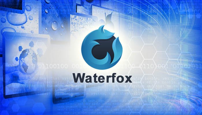 How to Recover Saved Passwords in Waterfox Browser