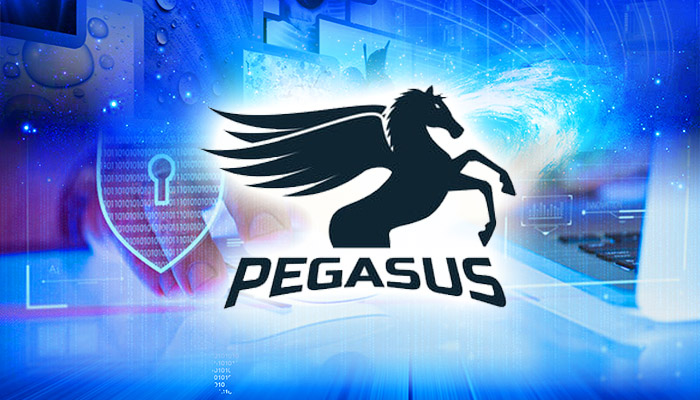 How to Find Your Pegasus Product or License Key