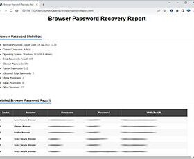 browserpasswordrecoverypro-step3-report