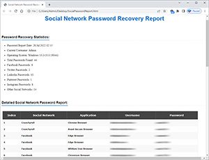 socialpasswordrecoverypro-step3-report
