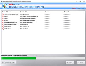 downloaderpasswordrecoverypro-step2-recover-passwords