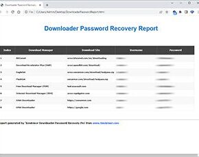 downloaderpasswordrecoverypro-step3-report